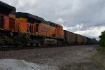 BNSF 6019 Roster shot.